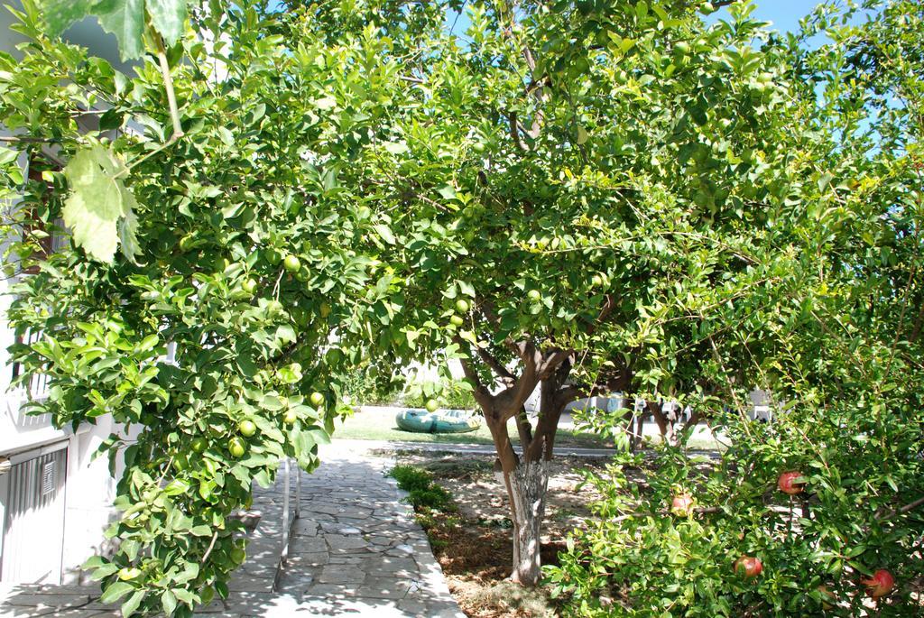 Kostas Family House Lägenhet Káto Ássos Exteriör bild